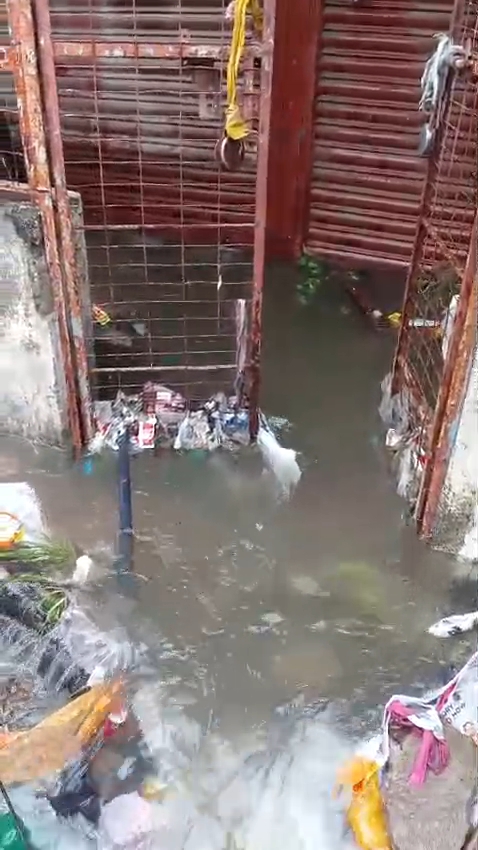 IMG_20251015_17524112