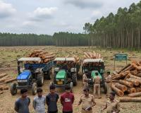 Medchal : Six Arrested for Illegal Cuting Trees